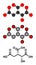 Isocitric acid molecule