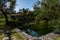 Isola Polvese: Water Lilies Lake