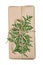 Isolate gift box made of craft paper decorated with branch thuja