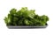 Isolate green leaves salad vegetable on white, fresh delicios an