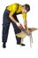 Isolate man in the yellow shirt in overalls sawing board