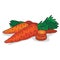 Isolate ripe carrot root vegetable