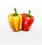 Isolate. Two vector peppers red and yellow isolated