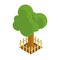 Isolated 3d green tree render icon