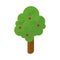 Isolated 3d green tree render icon