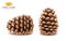 Isolated 3d pine cones or realistic tree part