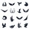 Isolated abstract black and white birds, butterflies wings with feathers logo set. Flight logotype collection. Air icons