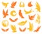 Isolated abstract yellow and orange color birds silhouettes logos collection on white background, wings and feathers