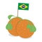 Isolated acarajes with a flag of Brazil