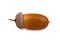 Isolated acorn