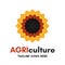 Isolated agriculture logo on white background. Original multi colored vector illustration of stylized sunflower. 