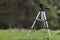 Isolated aluminum shiny tripod standing alone in fresh grassy me