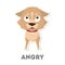 Isolated angry dog.