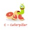 Isolated animal alphabet for the kids,C for Caterpillar