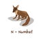 Isolated animal alphabet for the kids,N for Numbat