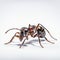 Isolated Ant In Graflex Speed Graphic Style - Uhd Matte Photo