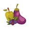 Isolated apple blueberry and eggplant fruit vector design