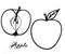 Isolated apple in the cut and whole apple sketch with a title on