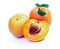 Isolated apricot. Fresh cut apricot fruits isolated