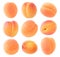 Isolated apricots collection