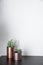 Isolated artificial plants copper vases and standing on black wooden top with white background / interior design / composition ba