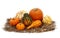 Isolated Autumn Decoration of Pumkins Squash and Gourds