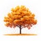 Isolated autumn tree, vivid orange yellow leaves, white background, fall vibes