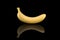 Isolated bananas. Banana fruit isolated on black mirror background.