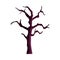 Isolated bare tree vector design