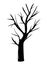 Isolated bare tree vector design