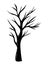 Isolated bare tree vector design