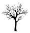 Isolated bare tree vector design