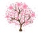 Isolated beautiful cherry blossom tree