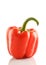 Isolated bell pepper paprika