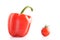 Isolated bell pepper and tomato