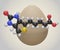 Isolated Biotin molecule with eggs