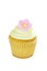 Isolated Birthday Cupcake with Flower