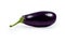 Isolated black eggplant