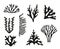 Isolated black icons set silhouettes of seaweed