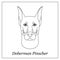 Isolated black outline head of doberman pinscher on white background. Line cartoon breed dog portrait.
