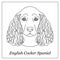 Isolated black outline head of english cocker spaniel on white background. Line cartoon breed dog portrait.