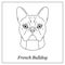Isolated black outline head of french bulldog on white background. Line cartoon breed dog portrait.