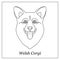 Isolated black outline head of happy welsh corgi pembroke or cardigan on white background. Line cartoon breed dog portrait.