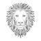 Isolated black outline head of lion on white background. Line cartoon king of animals portrait. Curve lines. Page of coloring book