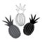 Isolated black and white vector set of abstract fruits silhouettes of pineapples