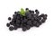 Isolated blackberries