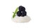 Isolated blackberry meringue nest with mint