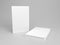 Isolated blank book template standing and layed down on neutral background. 3D rendered illustration