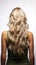 Isolated blonde balayage Nature themed hair care depicted in young womans back hair