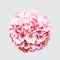 Isolated blooming realistic pink hydrangea flower